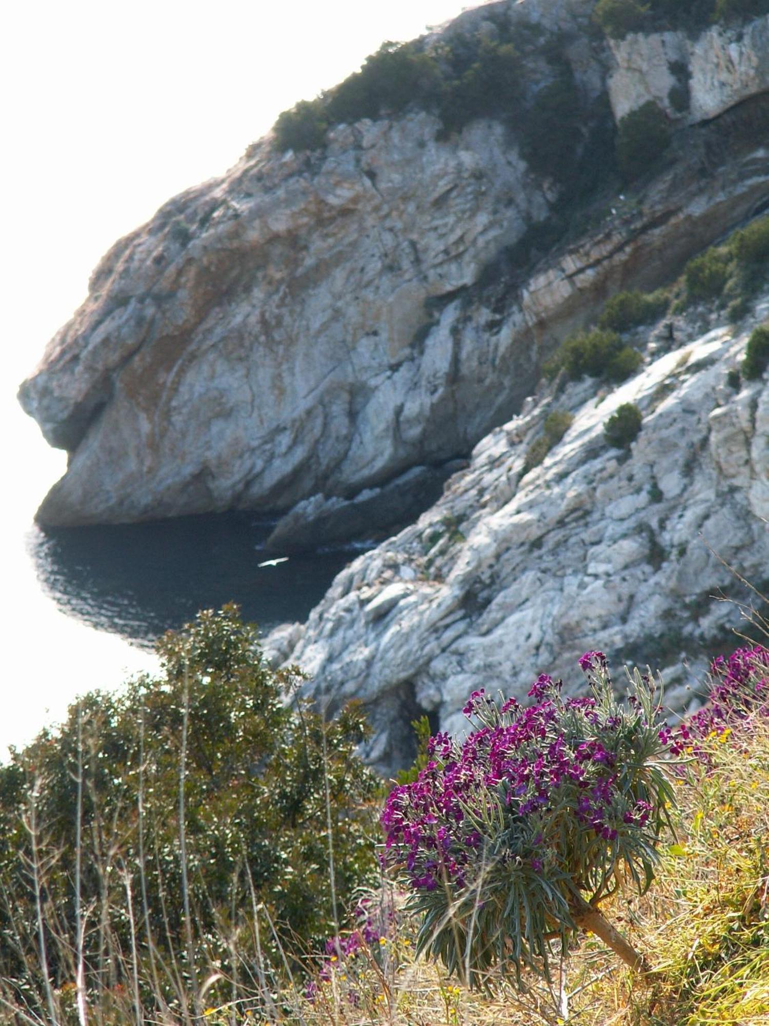 Hotel Santa Caterina Marina di Campo Kültér fotó